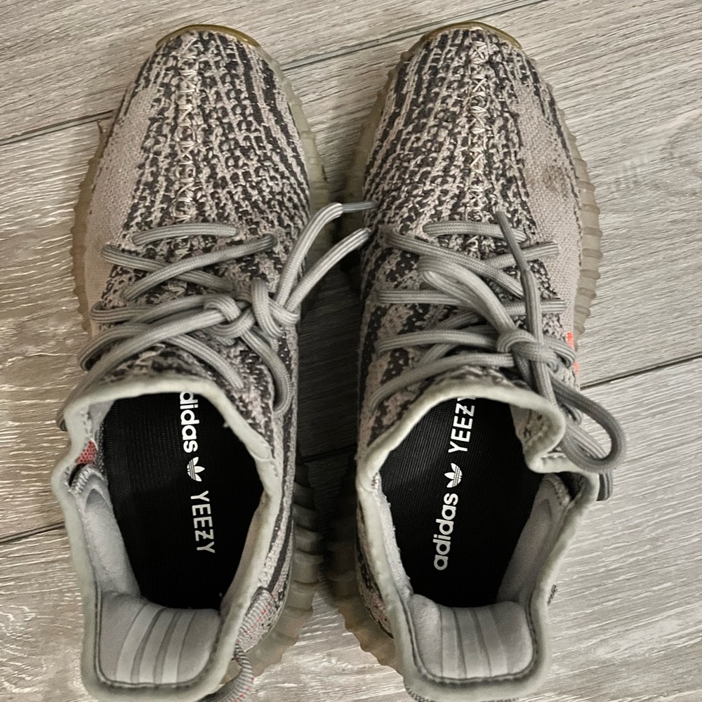 Yeezy boost 350 v2